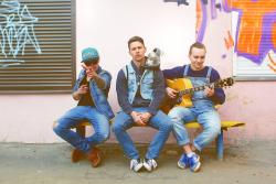 Мишки Коалы